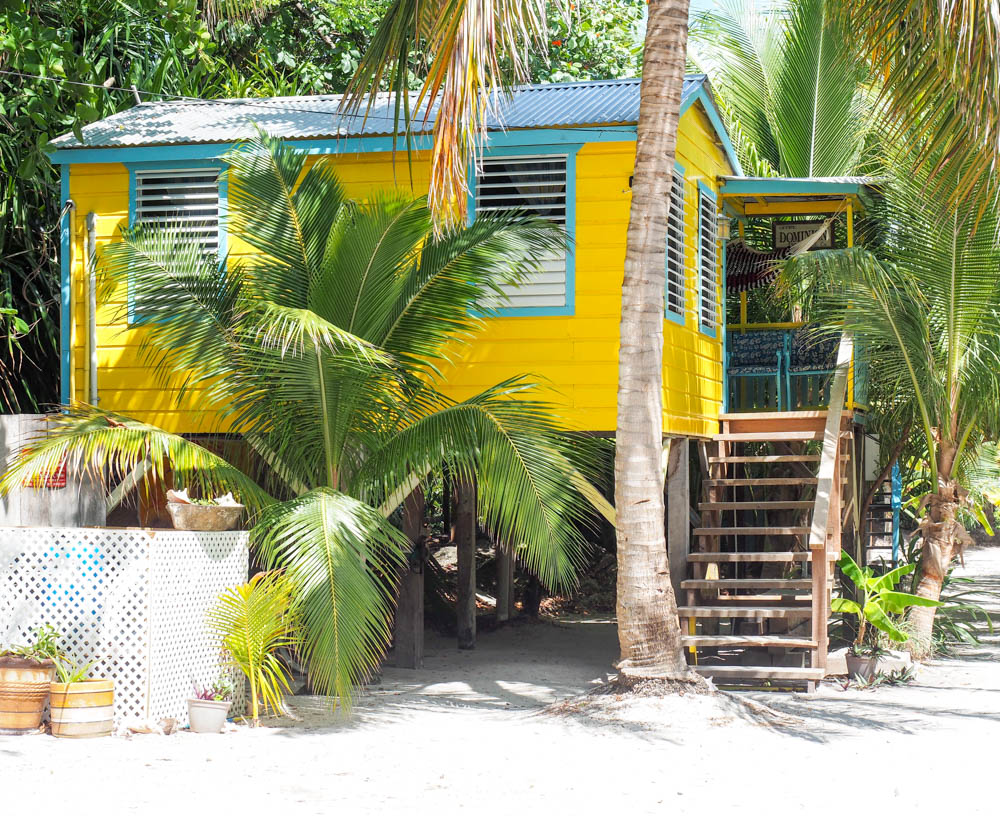 yellow and teal beach cabana surrounded by palm trees