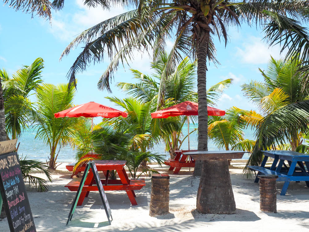 red picnic tables next to the ocean under palm trees