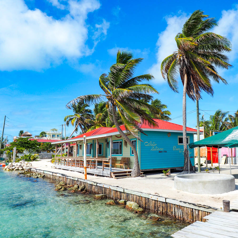 blue and orange restaurant next to the ocean under palm trees