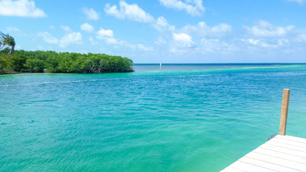 turquoise ocean with trees across the way