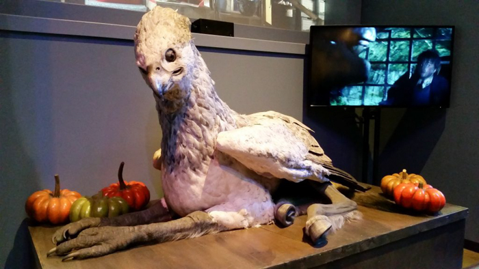 Do This, Not That // Harry Potter Studio Tour | Leavesden, London, UK | Harry Potter film studio and set | Things to do in London | What to do in London | What to see in London | Buckbeak