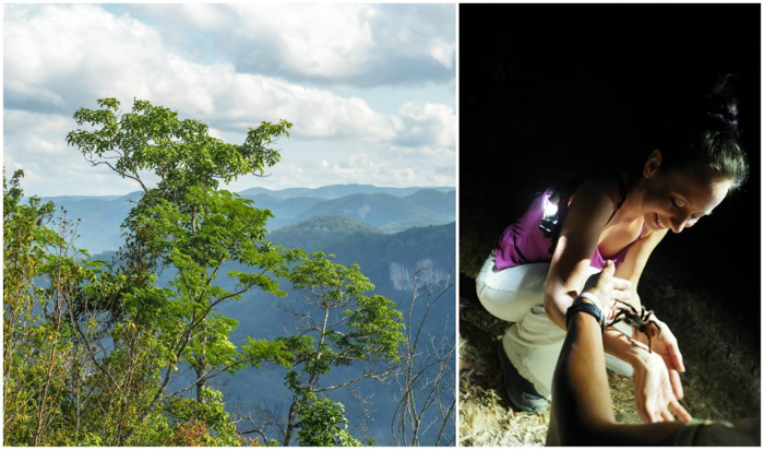 Mountains near the ATM Cave in Belize | tarantula | Map | San Ignacio, Belize | Cayo District | Tapir Mountain Nature Reserve | Actun Tunichil Muknal | Maya | Mayan archaeological site | skeletal remains | Cave of the Sone Sepulcher | Pacz Tours