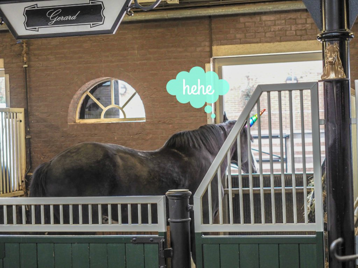 Horse stables | The Heineken Experience in Amsterdam | the Netherlands | Heineken Brewery | brewery tour | VIP tasting | beer | Amstel | Brand | Affligem | Heineken 41 | beer tasting