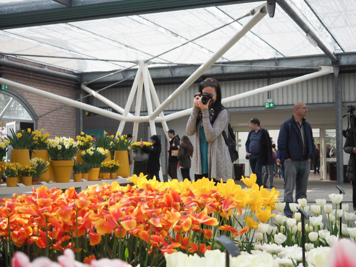 3 days in Amsterdam | Day trip to Keukenhof flower gardens | Netherlands | Dutch heritage and tulips!