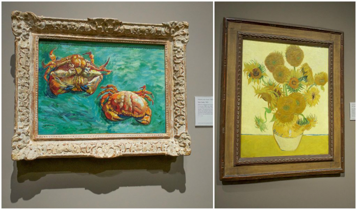 3 days in Amsterdam | Van Gogh Museum | Vincent van Gogh crabs and sunflowers | Dutch art history and paintings