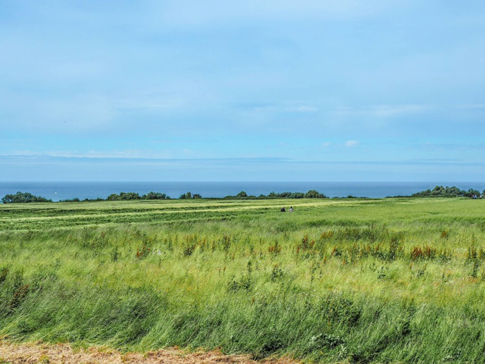 The best D-Day sites to visit in Normandy, France | WWII | WW2 | Longues-sur-Mer German battery | landscape