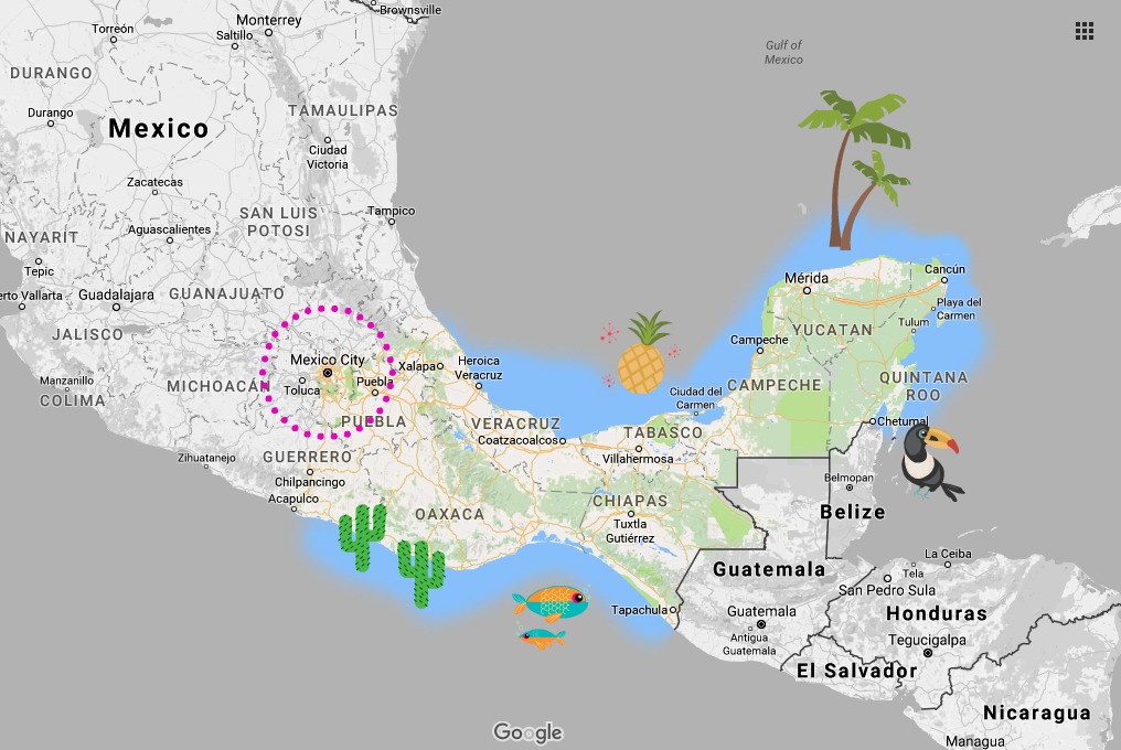 Making sense of Mexico's ADO bus system | Platino vs GL vs OCC, etc. | Where are the bus stations? Mexico DF TAPO | CDMX | bus travel in Mexico | ADO service area map