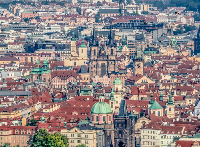 Czeching Out the Best of Prague in 3 Days | Czech Republic | Petrin Tower, Petrin Hill, Best views in Prague, View of city center