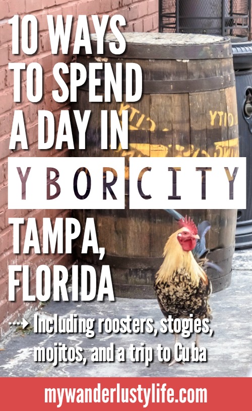 11 Ways to Spend a Day in Ybor City | Tampa, Florida | Cigar City | Cigar history, cuban sandwiches, Jose Marti Park, cider and mead, coppertail brewing co, ybor wild chickens and roosters