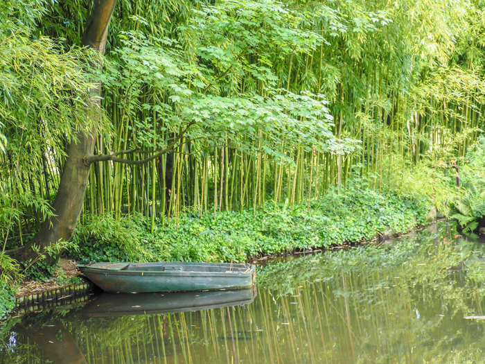 old row boat surrounded by trees on a lake
