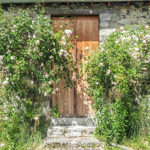 giverny monet tour