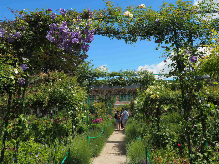 an arch covered in purple flowers over a dirt path