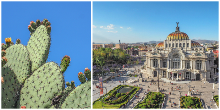 15 essential Mexico City experiences for the best trip ever | Mexico City must-do | Things to do in Mexico City | What to do in Mexico City | CDMX | Mexico DF | Can't-miss Mexico City activities and sights | Mexico City sightseeing | Palacio de Bellas Artes and prickly pear cactus