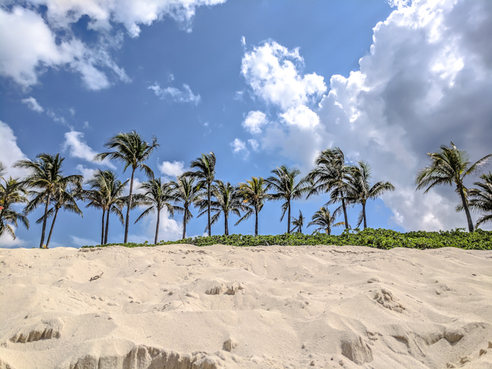 Do This, Not That // 2 Days in The Bahamas | Palm trees | Where to stay in The Bahamas #TheBahamas #Bahamas #honeymoon #Atlantis #caribbean #beachvacation #resort