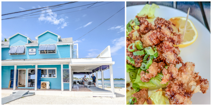 Do This, Not That // 2 Days in The Bahamas | having lunch in paradise at the Shipyard restaurant in Spanish Wells, Harbour Island #thebahamas #bahamas #spanishwells #tropical #honeymoon #caribbean #island #paradise