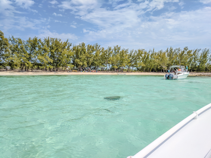 Do This, Not That // 2 Days in The Bahamas | Swimming with pigs in The Bahamas #swimmingwithpigs #thebahamas #bahamas #island #caribbean #honeymoon #beachvacation #turquoise