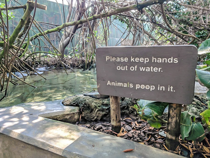 Keeping it real at the Florida Aquarium // How to use the Tampa Bay CityPASS as a childless adult. #aquarium #tampabay #florida #citypass #traveltips #vacation #tampa #timebudgettravel