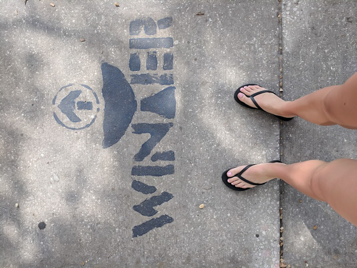 Winter dolphin tail on sidewalk, clearwater marine aquarium // How to use the Tampa Bay CityPASS as a childless adult. #dolphintale #aquarium #tampabay #florida #citypass #traveltips #vacation #tampa #timebudgettravel