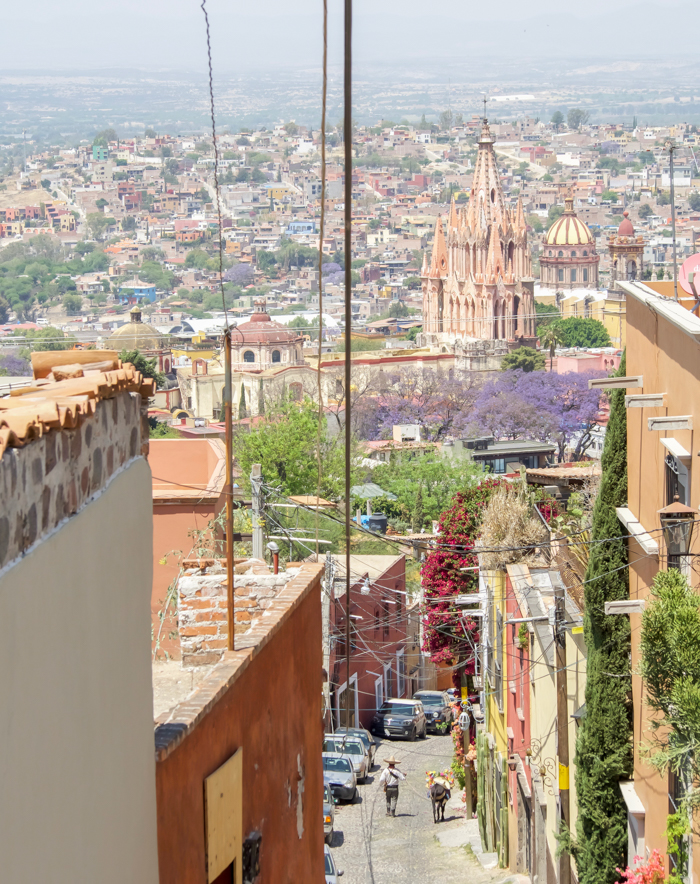 2 days in San Miguel de Allende travel tips | Cowboy and donkey #sanmigueldeallende #mexico #traveltips #timebudgettravel #sanmiguel #donkey