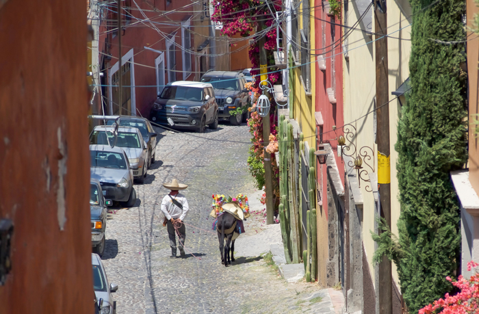 2 days in San Miguel de Allende travel tips | Cowboy and donkey #sanmigueldeallende #mexico #traveltips #timebudgettravel #sanmiguel #donkey