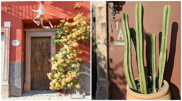 2 days in San Miguel de Allende travel tips | street scene, doorways, cactus #sanmigueldeallende #mexico #traveltips #timebudgettravel #sanmiguel #doorway