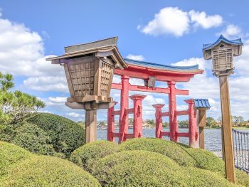 Do This, Not That // Epcot Food and Wine Festival | Disney World in Orlando, Florida | International food and wine festival | Walt Disney World and Epcot Center, Dos and don'ts, Disney World tips