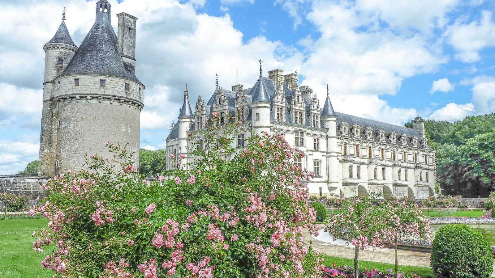 7 France-tastic Things to Do in the Loire Valley | wine tasting, chateaux and castles, Leonardo da Vinci, Chartres, day trips, troglodyte caves, and more #france #loirevalley #traveltips #daytrips #paris #castles #winetasting