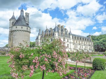 7 France-tastic Things to Do in the Loire Valley | wine tasting, chateaux and castles, Leonardo da Vinci, Chartres, day trips, troglodyte caves, and more #france #loirevalley #traveltips #daytrips #paris #castles #winetasting