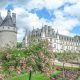 7 France-tastic Things to Do in the Loire Valley | wine tasting, chateaux and castles, Leonardo da Vinci, Chartres, day trips, troglodyte caves, and more #france #loirevalley #traveltips #daytrips #paris #castles #winetasting