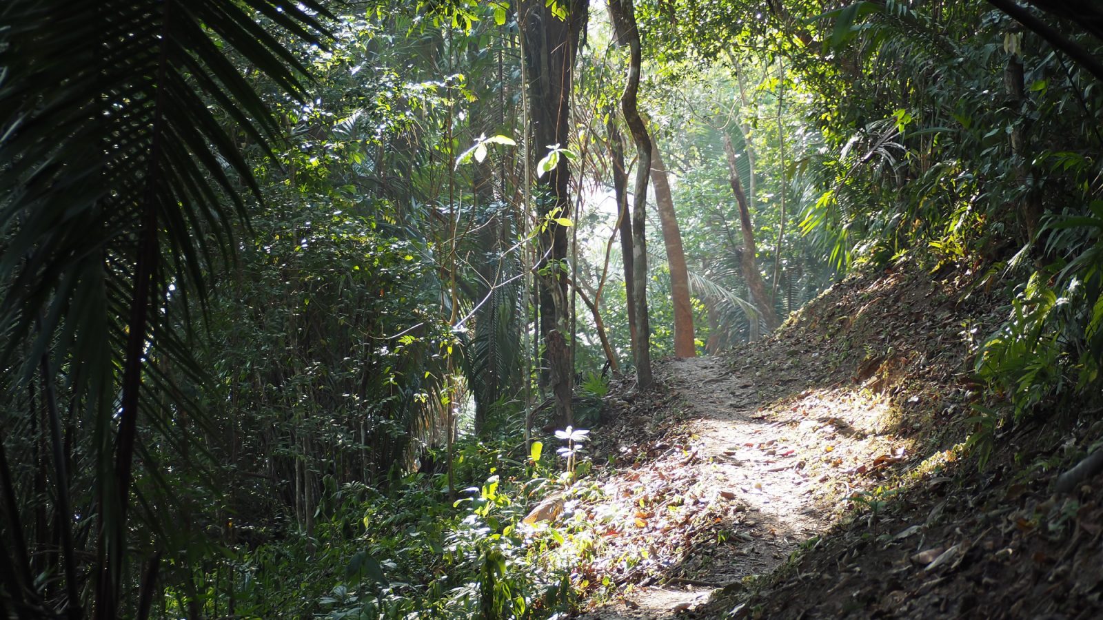 ATM Cave | San Ignacio, Belize | Actun Tunichil Muknal | Cayo District | Maya Mayan archaeological site | ruins skeletons remains spiders | Do This, Not That | Travel tips | Dos and don'ts | cenote | what to wear | Central America