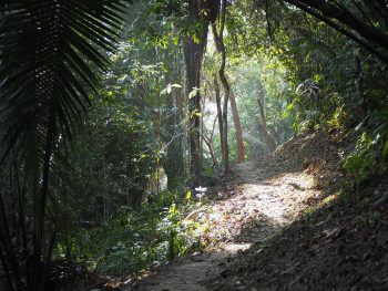 ATM Cave | San Ignacio, Belize | Actun Tunichil Muknal | Cayo District | Maya Mayan archaeological site | ruins skeletons remains spiders | Do This, Not That | Travel tips | Dos and don'ts | cenote | what to wear | Central America