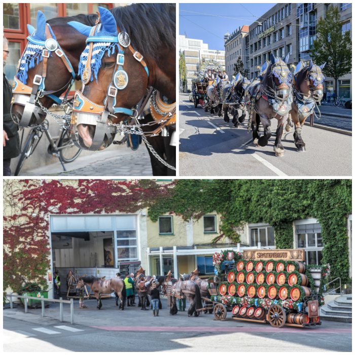An Oktoberfest Tour Guide's Most Frequently Asked Oktoberfest Questions | Need to know Oktoberfest in Munich, Germany #oktoberfest #munich #germany #beer #festival | #horse carriages