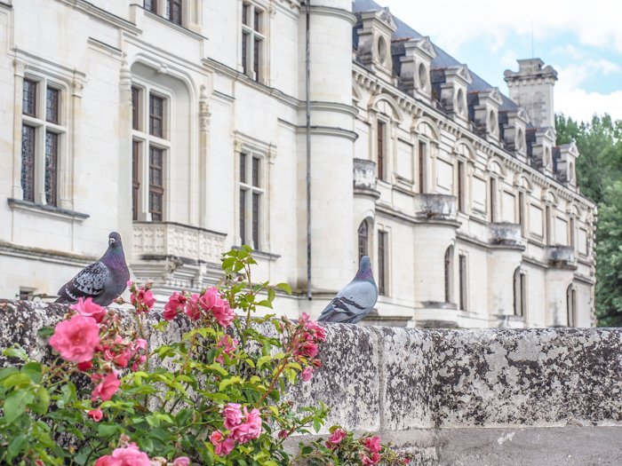 7 France-tastic Things to Do in the Loire Valley | #traveltips #loirevalley #france #daytrips | Chateau Chenonceau #chenonceau #chateau #castle #medici 