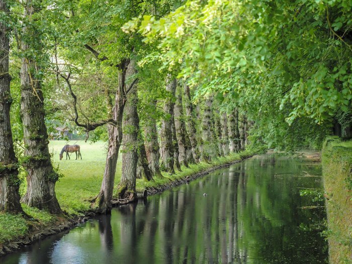 7 France-tastic Things to Do in the Loire Valley | #traveltips #loirevalley #france #daytrips | Chateau Chenonceau #chenonceau #chateau #castle #medici #horses