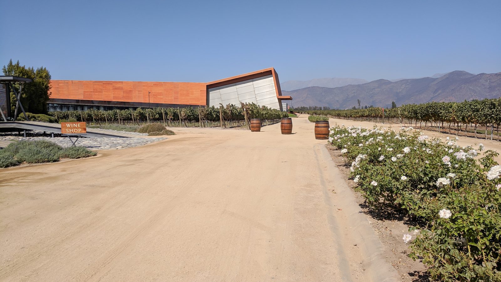 Wine Tasting in Chile: Casablanca vs. Maipo Valley | How to decide where to go wine tasting in Chile | Casablanca valley wineries like Viña Emiliana, Casas del Bosque and Bodegas RE | Maipo Valley Little Wine Bus, De Martino vineyard, and more.