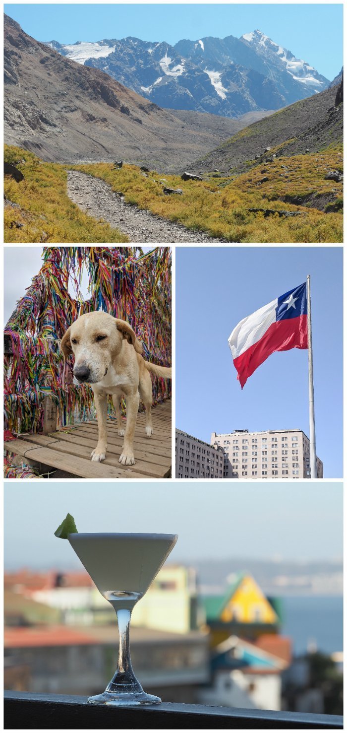 How to Spend One Week in Chile and Cover All the Bases | Where to stay in Chile, Santiago and Valparaiso #chile #santiago #whattodoinchile #weekinchile #valparaiso #wheretostay #winetasting #alpacas #penguins #streetart