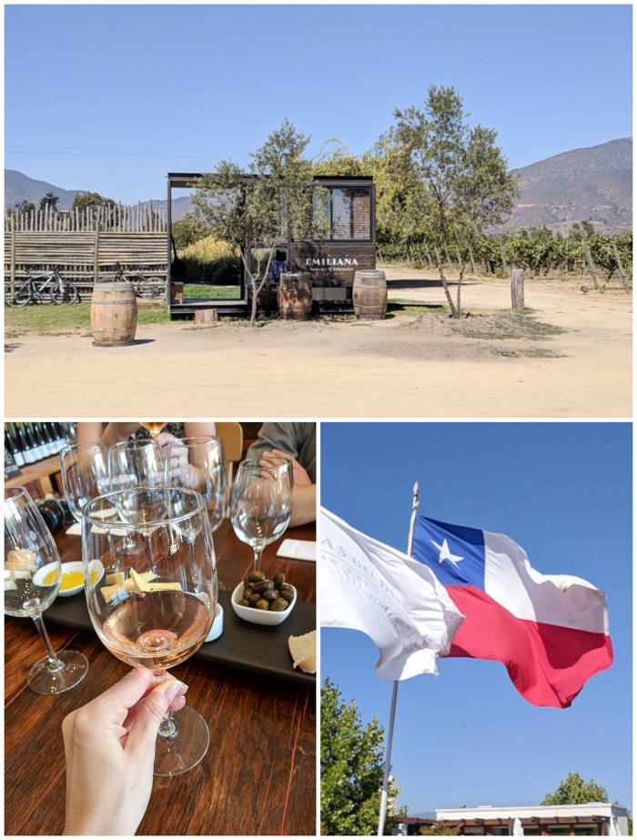 Wine Tasting in Chile: Casablanca vs. Maipo Valley | How to decide where to go wine tasting in Chile | Casablanca valley wineries like Viña Emiliana, Casas del Bosque and Bodegas RE | Maipo Valley Little Wine Bus, De Martino vineyard, and more. 