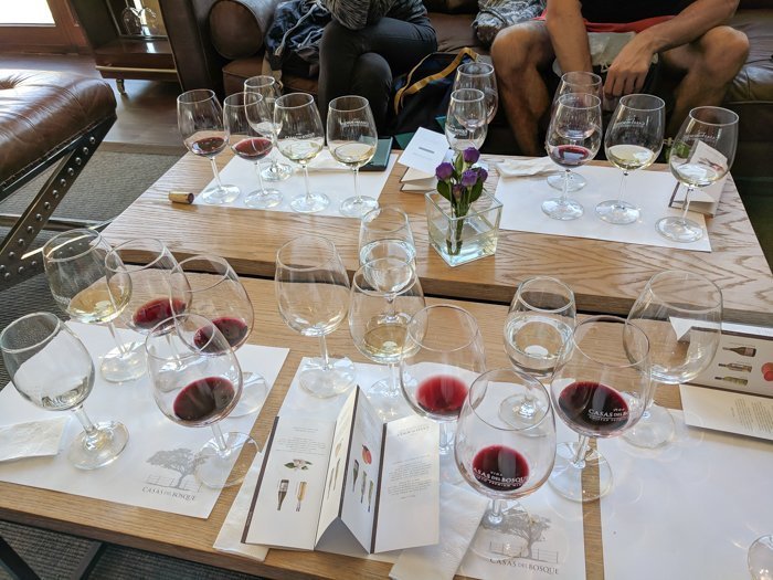 Our glasses at Casas del Bosque winery | Wine Tasting in Chile: Casablanca vs. Maipo Valley | How to decide where to go wine tasting in Chile | Casablanca valley wineries | #chile #wine #winetasting #vineyard #casasdelbosque #casablanca 