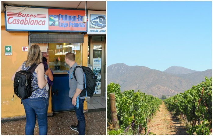 Our group at Vina Emiliana winery | Wine Tasting in Chile: Casablanca vs. Maipo Valley | How to decide where to go wine tasting in Chile | Casablanca valley wineries | #chile #wine #winetasting #vineyard #emiliana #casablanca