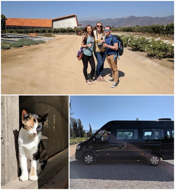 Maipo Valley Little Wine Bus | Wine Tasting in Chile: Casablanca vs. Maipo Valley | How to decide where to go wine tasting in Chile | Maipo valley wineries | #chile #wine #winetasting #vineyard #maipovalley #winebus 