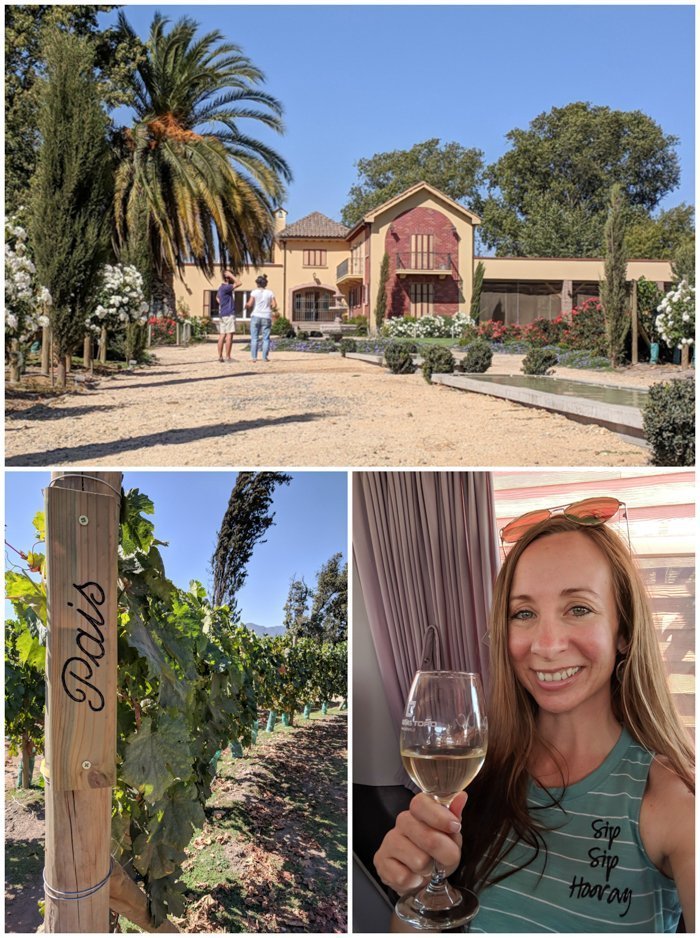 Maipo Valley Little Wine Bus | Wine Tasting in Chile: Casablanca vs. Maipo Valley | How to decide where to go wine tasting in Chile | Maipo valley wineries | #chile #wine #winetasting #vineyard #maipovalley #winebus 