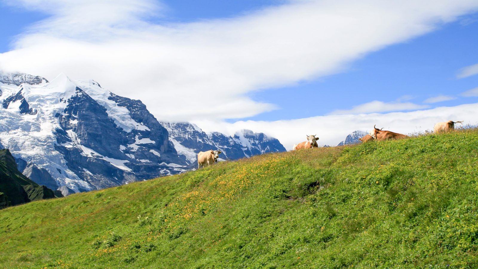 Get to know switzerland | Where to stay in switzerland, what to pack for switzerland, and what you need to know about switzerland | #timebudgettravel #traveltips #switzerland