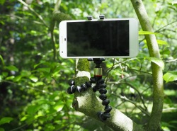 what to pack | photography gear for travelers, packing gear joby gorillapod mini for cell phones