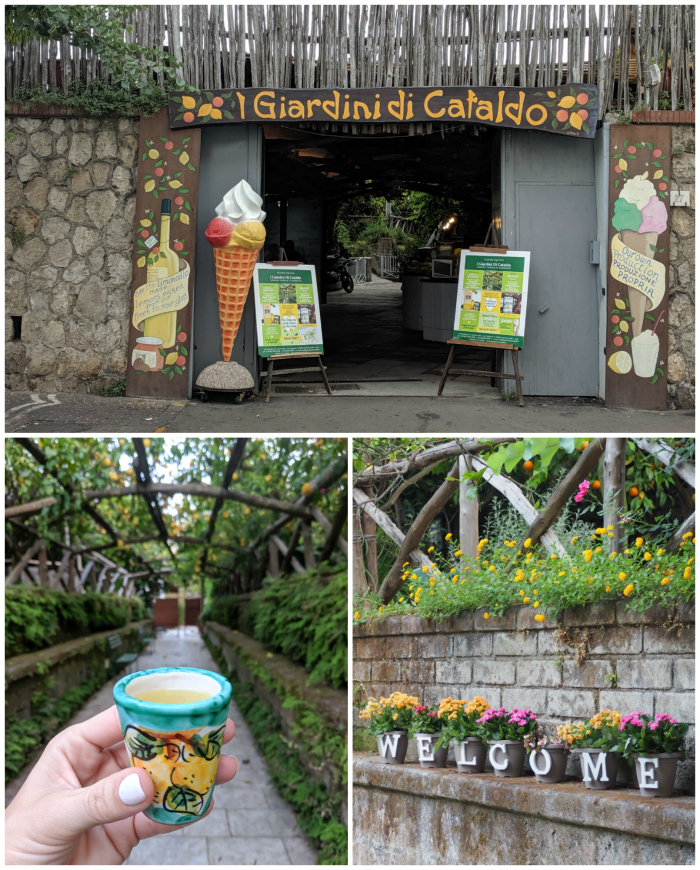 5 days in sorrento, italy | I giardini da cataldof, limoncello #sorrento #italy #limoncello 