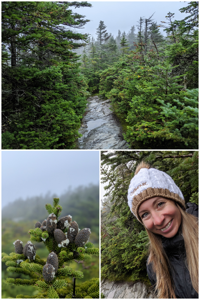 Hiking in the Green Mountains, Mount Mansfield | 11 Ways to Fill Your Days During a Weekend in Vermont | #vermont #stowe #newengland #greenmountains #hiking 