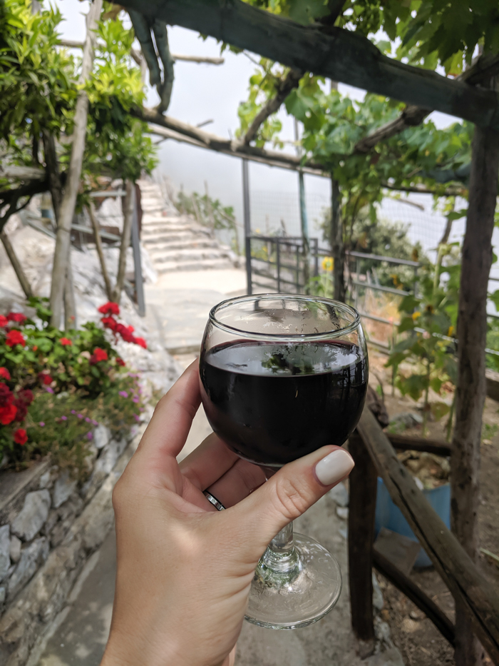 Homemade wine at a bed and breakfast break along the Amalfi Coast | Hiking the Path of the Gods from Sorrento, Italy on the Amalfi Coast | #pathofthegods #sorrento #amalficoast #hiking #italy