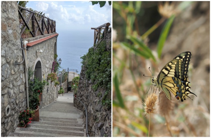 Hiking and butterfly the Path of the Gods from Sorrento, Italy on the Amalfi Coast | Amazing views from the hike #pathofthegods #sorrento #amalficoast #hiking #italy