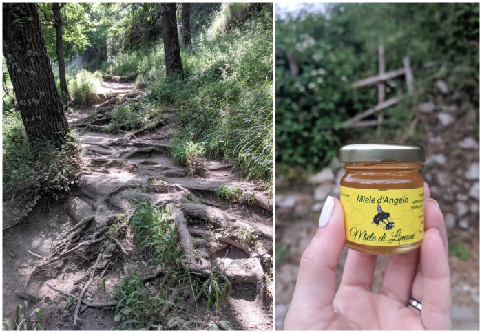 Hiking the Path of the Gods from Sorrento, Italy | What kind of terrain to expect along the Amalfi Coast #pathofthegods #amalficoast #sorrento #italy #hiking