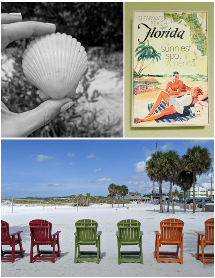 Sign and seashell | My 5 Favorite Ways I Spend a Weekend in Clearwater, Florida | #clearwater #florida #clearwaterbeach #seashell