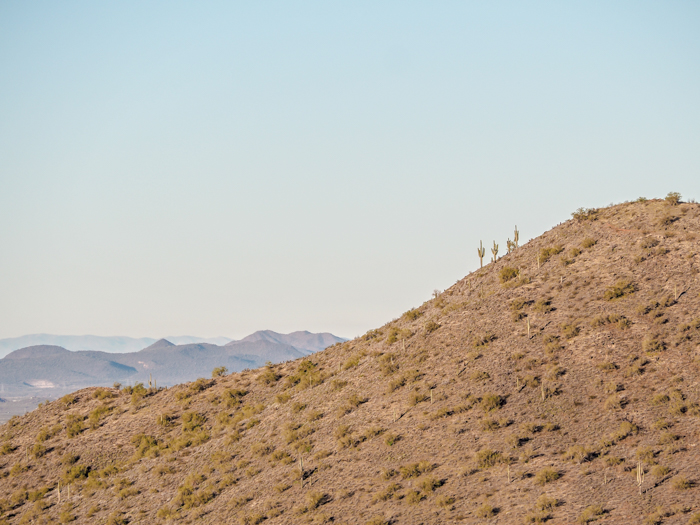 Cacti on the side of a mountain | What You Need to Know for Your Sunrise Hot Air Balloon Ride in Arizona | Scottsdale and Phoenix, Arizona hot air balloon rides with Hot Air Expeditions